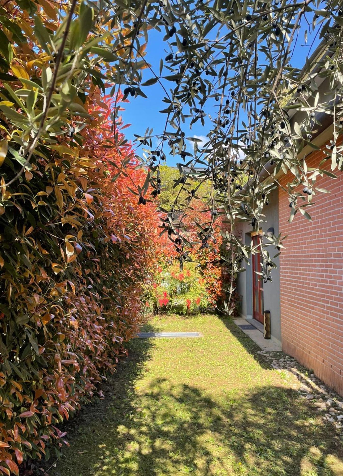 L'Ulivo Di Como Apartamento Exterior foto